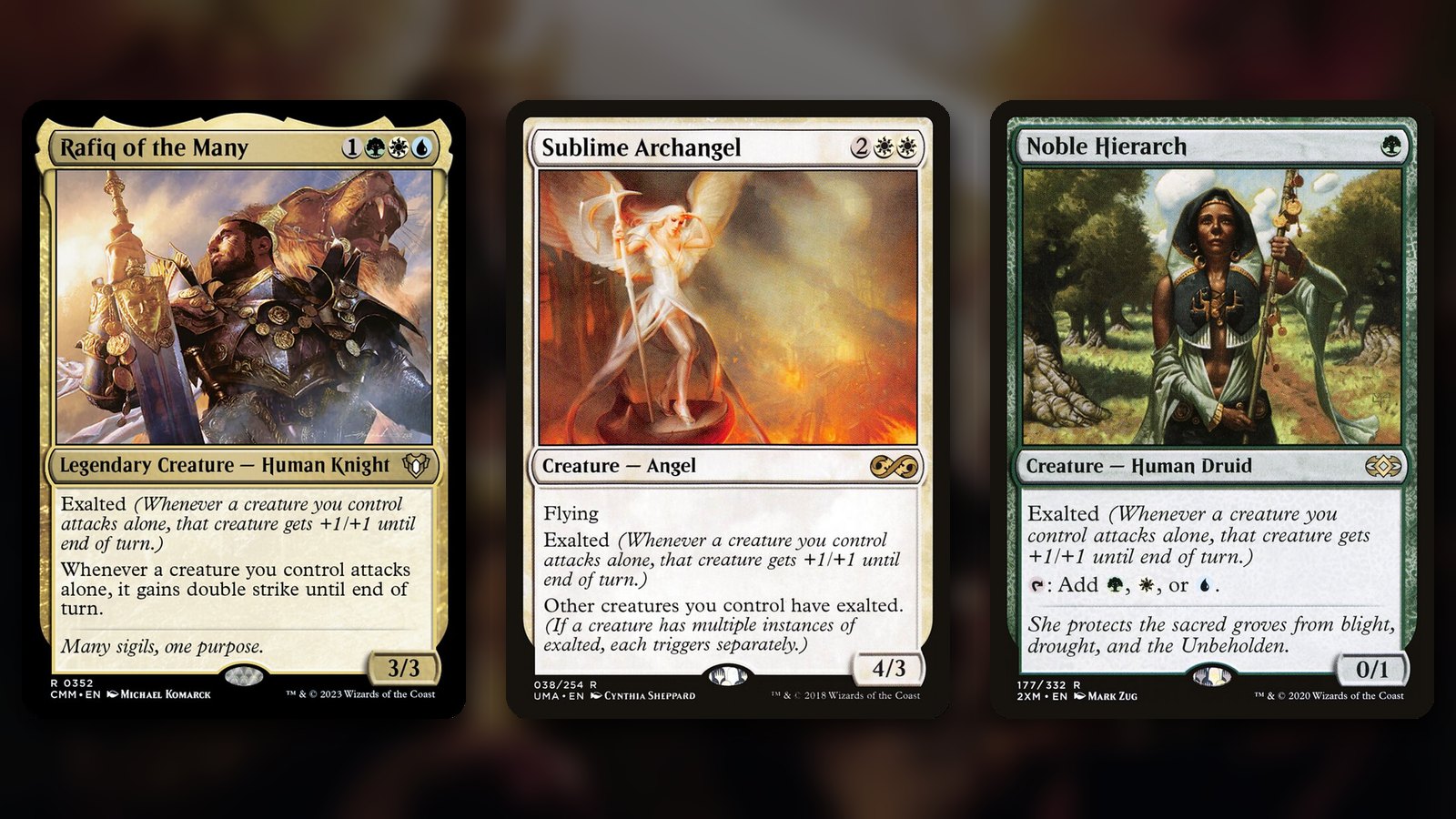 Three MTG exalted cards side by side: Rafiq of the Many, an armoured knight with a huge sword and a lion behind him, Sublime Archangel, a white-winged angel in flames, and Noble Hierarch, a robed druid with a staff in a green grove, over a blurred dark background